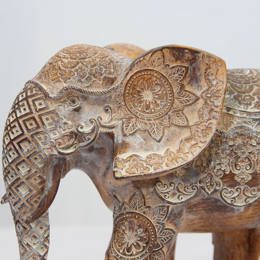 Elefante Golden Spirit