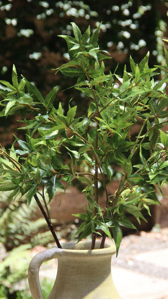 Faux Botanical