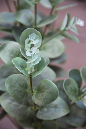 Baby Eucalytus Branch 47 cm