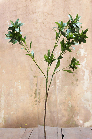 Japanese Pieris Branch 110 cm