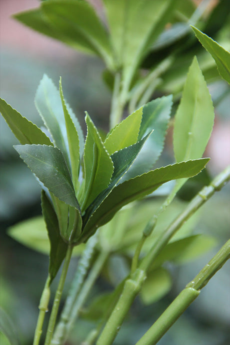 Japanese Pieris Branch 110 cm