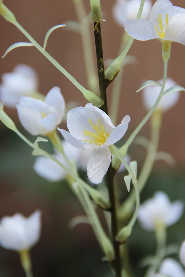 White Freesia Stem 95 cm