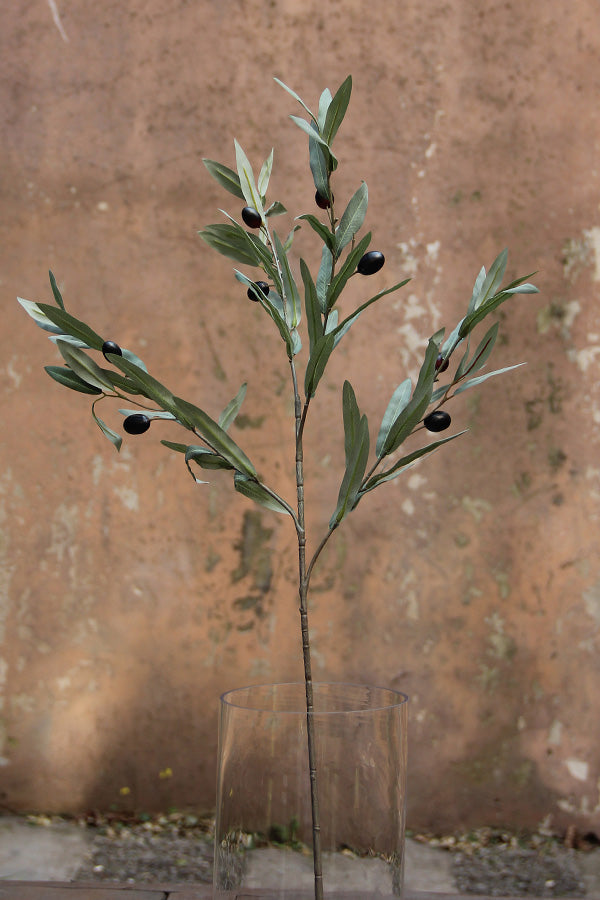 Olive Branch 96 cm