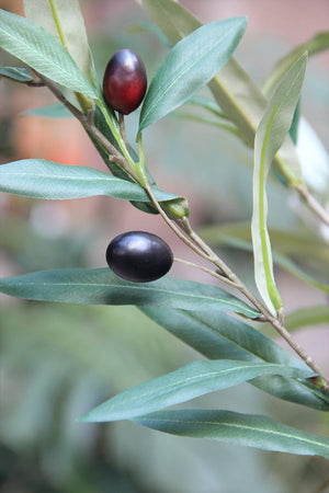 Olive Branch 96 cm