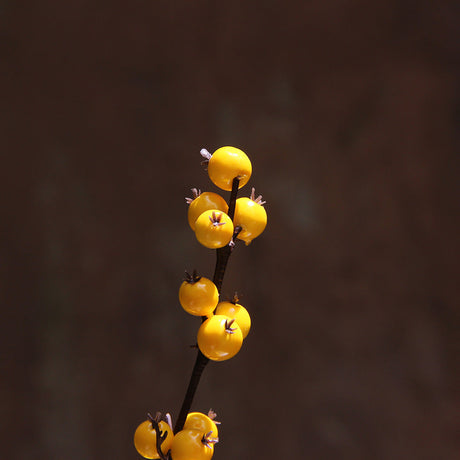 Yellow Berries Branch