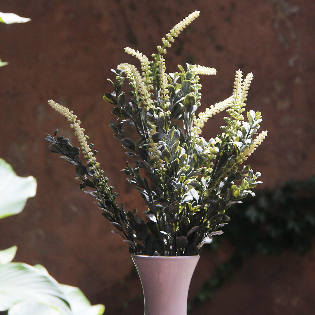 Cream Spike Branch