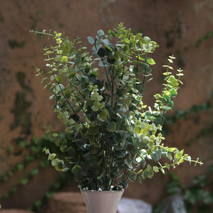 Eucalyptus Soft Green