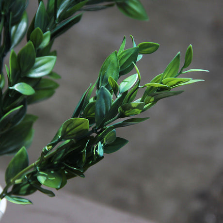 Light Green Box Branch