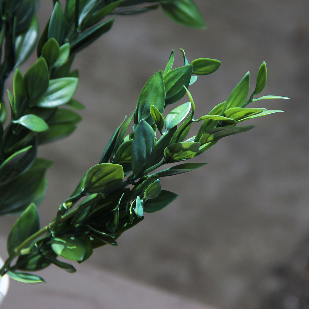 Deep Green Box Branch