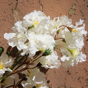 White Bloom Stem