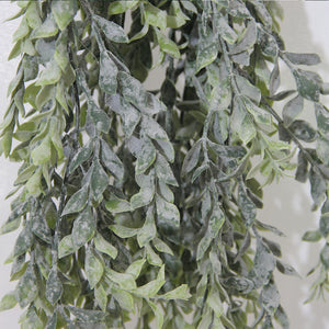 Boxwood Cascade 105 cm