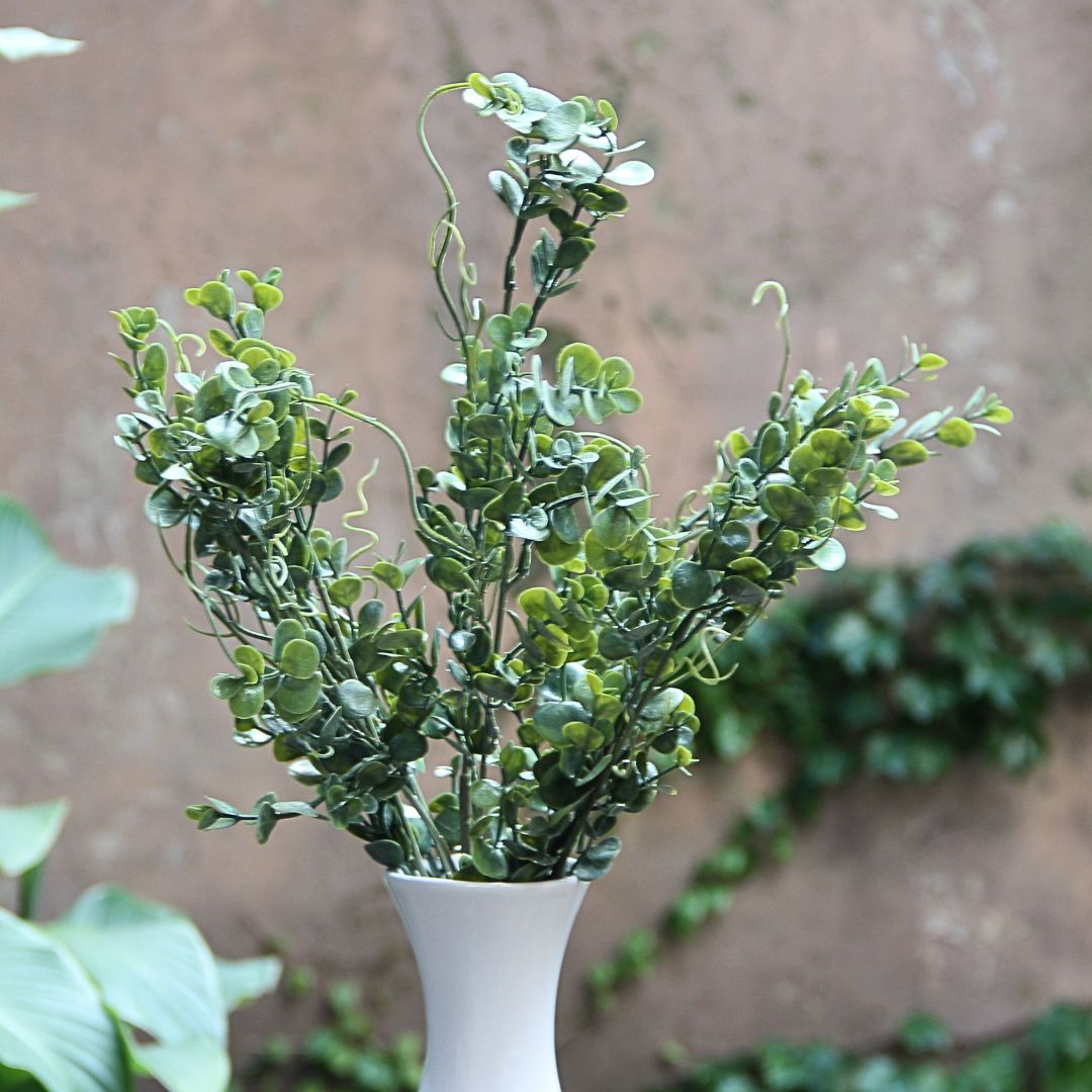 Pilea Vine 54 cm